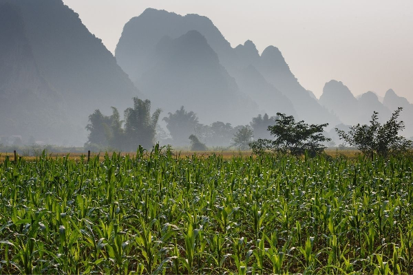 7D6N Hagiang - Du Gia - Meo Vac - Cao Bang - Ban Gioc Waterfall Tour - photo 8